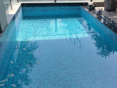 Swimming Pool Waterproofing